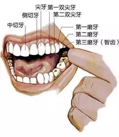 陆毅拔智齿表示没有拔过智齿的人生是不完整的