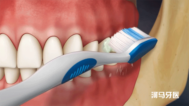 BASS刷牙法最详图解在这里！