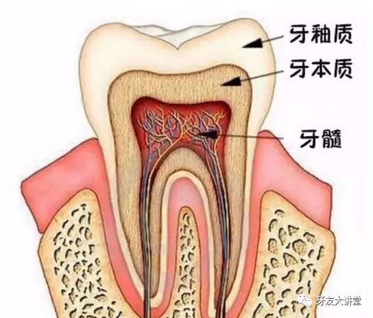 省钱的看牙小技巧还不pick一下吗？